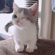 あ ん じ ー 。のアイコン